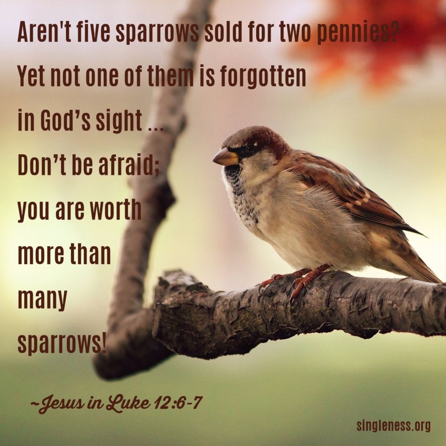 You are worth more than many sparrows